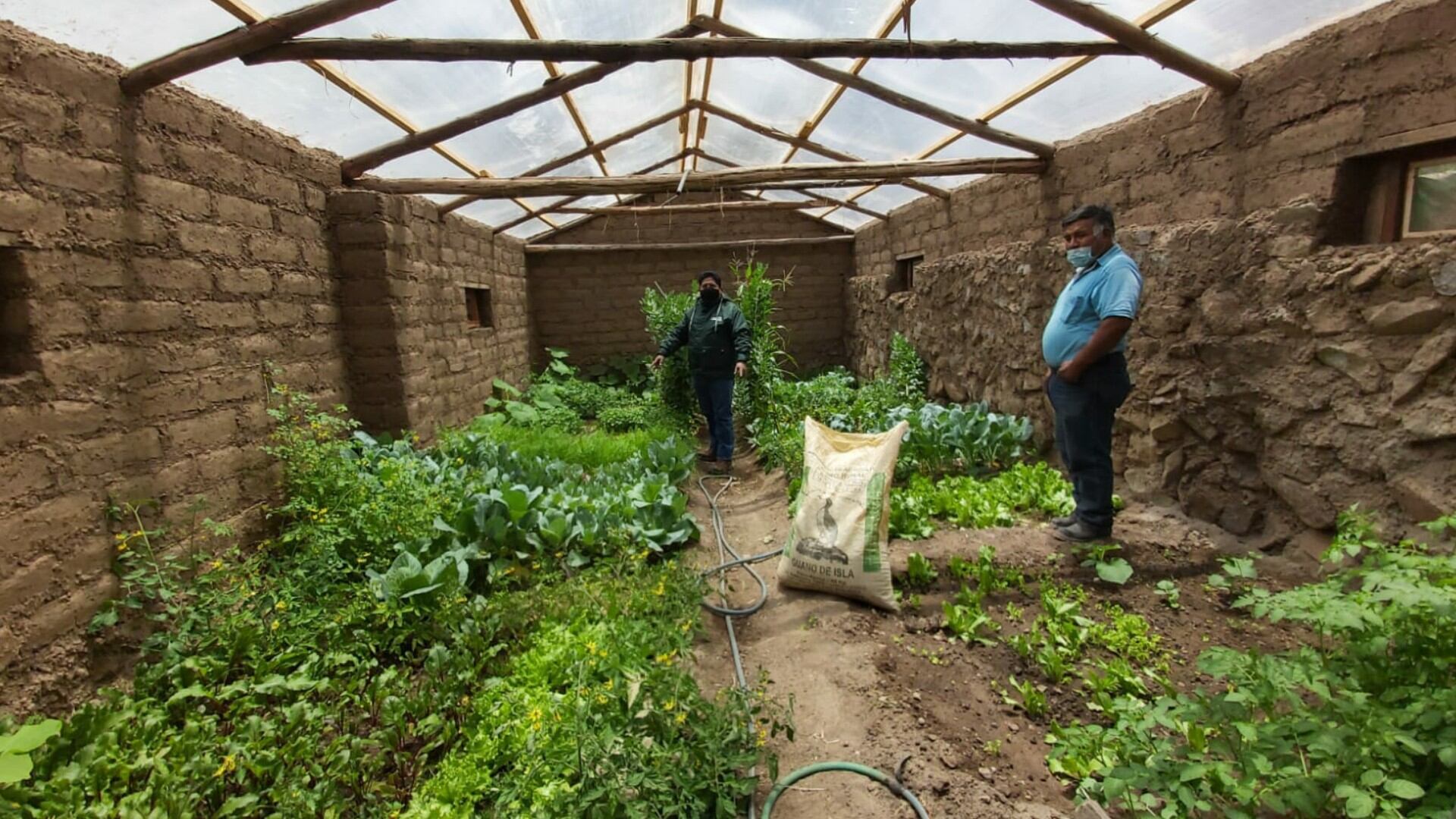 Agro Rural ha priorizado un total de 213 distritos de las zonas altoandinas de Áncash, Apurímac, Arequipa, Ayacucho, Cusco, Huánuco, Huancavelica, Junín, Lima, Moquegua, Pasco, Puno y Tacna para la construcción de cobertizos y fitotoldos. (Foto Agro Rural)