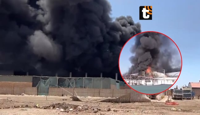 TROME - El siniestro comenzó cerca de las 7:40 a.m. en los sectores 5 y 6 del distrito tacneño La Yarada Los Palos.