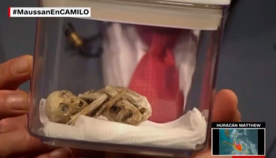 El ufólogo Jaime Maussan mostró, para todo el planeta entero, un extraño cadáver de un ser que no era de este mundo. (foto: captura)