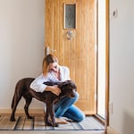 ¿Por qué mi perro se pone nervioso cuando llegan visitas?
