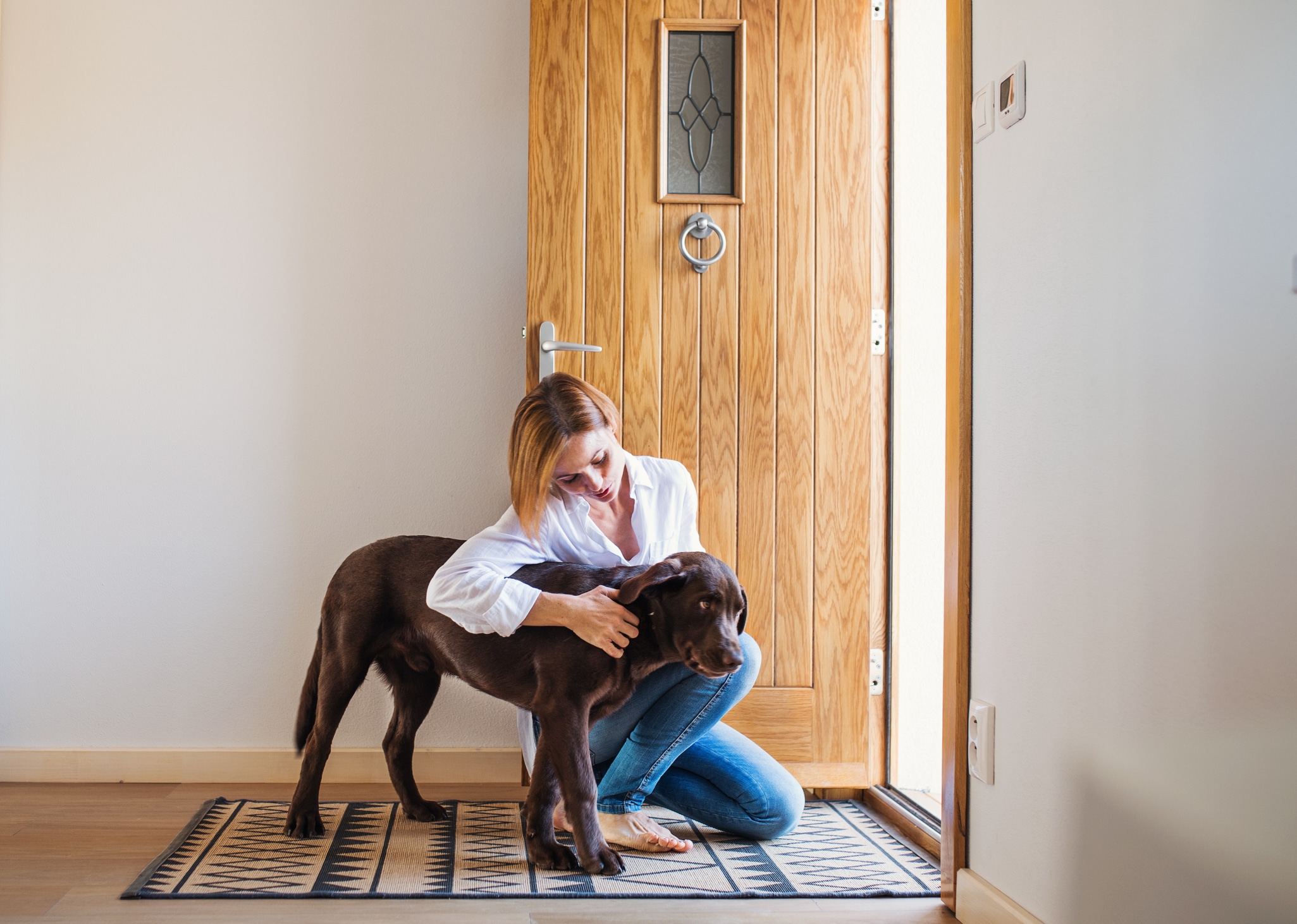 Cuando lleguen visitas, pídeles que no presten atención a tu perro si está alterado. Evita que lo acaricien o le hablen hasta que se calme, para no reforzar su conducta. Foto: Istock