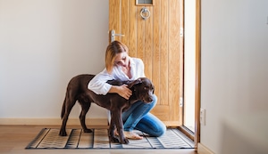 ¿Por qué mi perro se pone nervioso cuando llegan visitas?