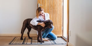 Cuando lleguen visitas, pídeles que no presten atención a tu perro si está alterado. Evita que lo acaricien o le hablen hasta que se calme, para no reforzar su conducta. Foto: Istock