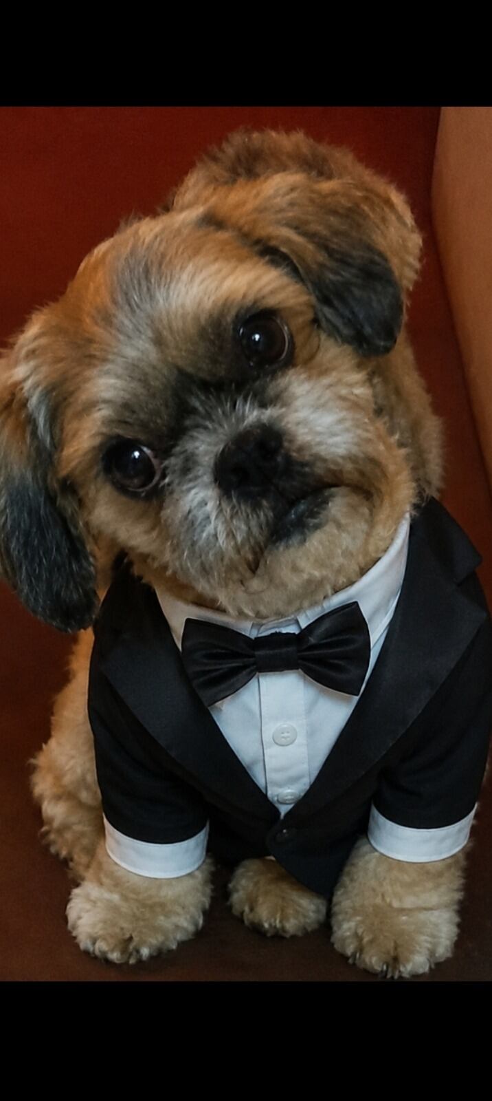 TOFFEE.