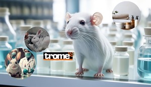 ¿Qué es testeo en animales? Todo lo que debes saber sobre los productos de belleza libres de maltrato animal