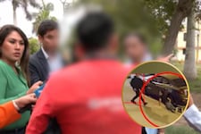 Habla vecino que fue confundido con delincuente en balacera en Comas donde policía abatió a sicario: “Me dijeron que me tire al piso”