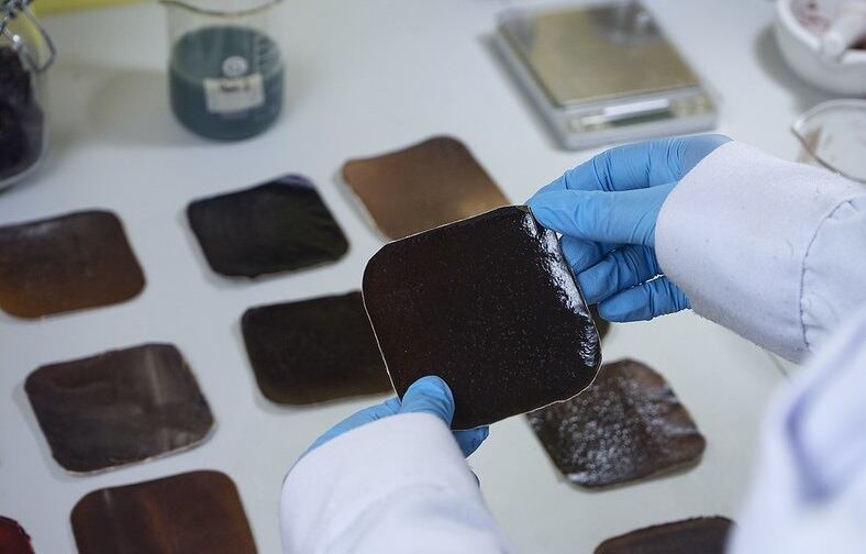 Los productos con este producto estaría a la venta el próximo año.