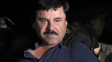 Los terribles narcos mexicanos