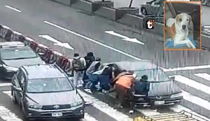 Chofer que arrolló a cinco en la avenida Abancay afirma que se distrajo para ver a su perrito