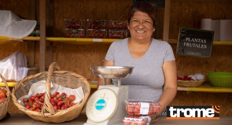 Encuéntralos en redes sociales como 'Helados Gourmet Casablanca'. (Foto: Trome)