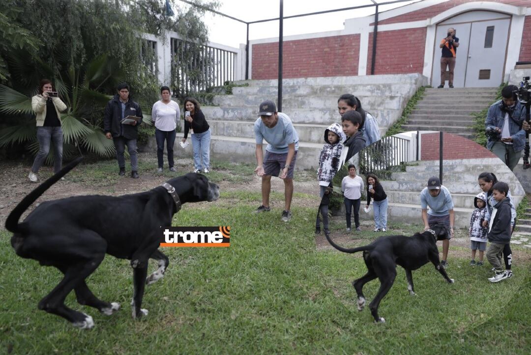 Feliz reencuentro de Figo con su familia, tras casi tres años de no poder encontrarlo. Ya volvió a casa, tras ser identificado en Surco. (Entrevista: Isabel Medina / Fotos: Hugo Pérez / Trome).