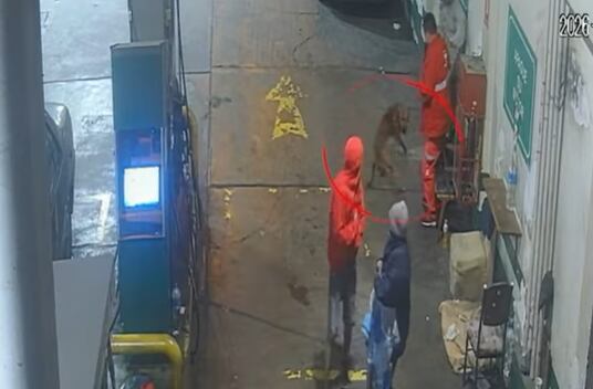 Choco fue herido en asalto a grifo