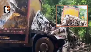 ¡Tragedia en Huánuco! Chofer de tráiler muere aplastado por rocas tras derrumbe en plena carretera