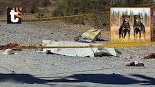 ¡Tragedia en Arequipa! Mujer de 66 años muere tras ser atacada por dos perros rottweiler