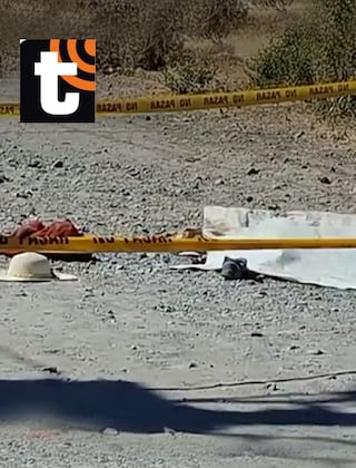 ¡Tragedia en Arequipa! Mujer de 66 años muere tras ser atacada por dos perros rottweiler