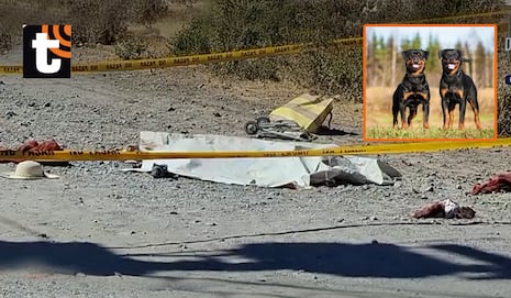 ¡Tragedia en Arequipa! Mujer de 66 años muere tras ser atacada por dos perros rottweiler