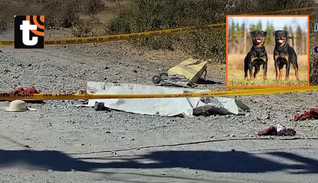 ¡Tragedia en Arequipa! Mujer de 66 años muere tras ser atacada por dos perros rottweiler