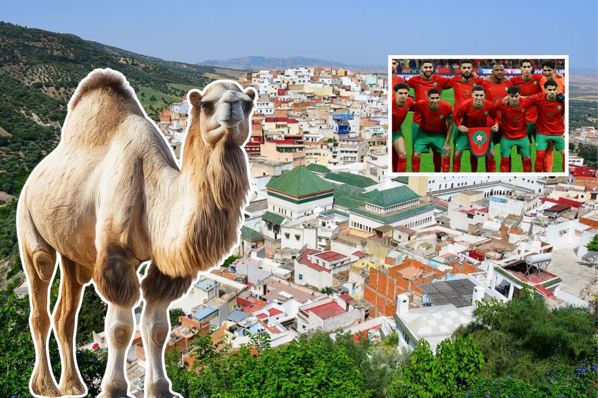 Marruecos no es solo desierto, este país del noroeste de África alberga una increíble diversidad geográfica y cultural. Foto: Composición / Istock.
