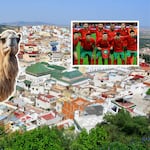 Mundo Escolar: Datitos que no sabías de Marruecos