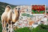 Mundo Escolar: Datitos que no sabías de Marruecos
