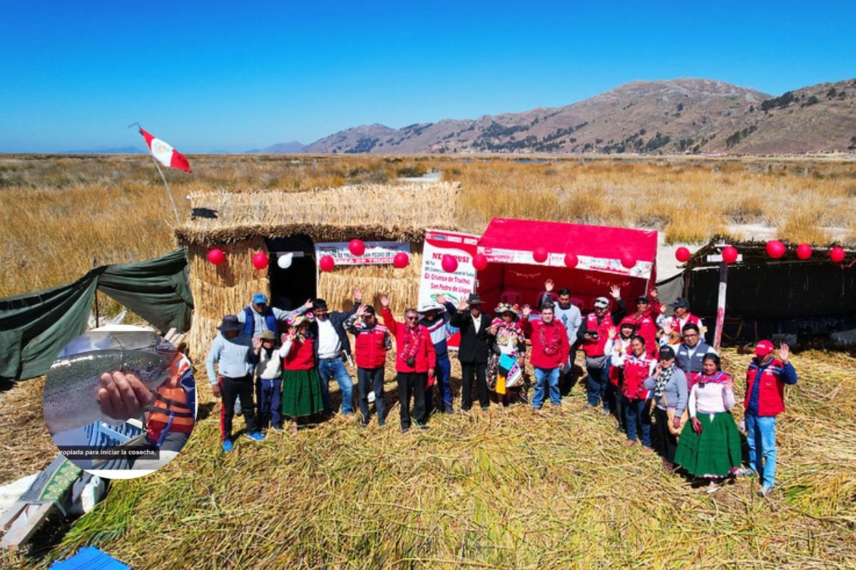 Mariano, cabeza de familia de los Barrionuevo, cuenta que antes producían y vendían al mes solo 200 kilos de trucha. (Foto: Mindis)