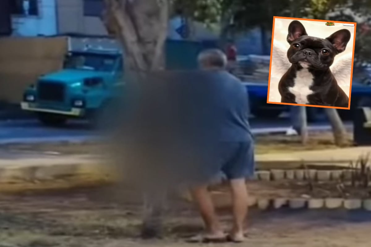 Indignación mundial por hombre que ahorcó a su perrita en un parque de Perú