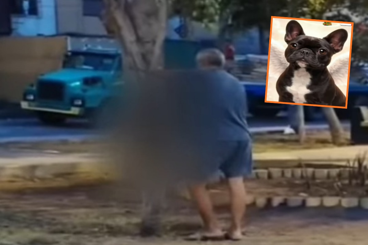 Lamentable acto de maltrato animal en Independencia. (Captura Tv)