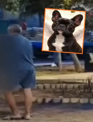 Independencia: Sujeto ahorca a perrita Susu en un parque frente a un grupo de personas | VIDEO