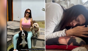 El tierno adiós de Rosángela Espinoza a su mascota Tommy