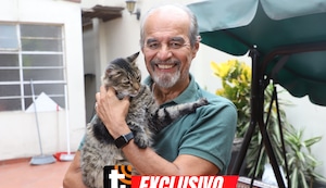 Mauricio Mulder: “Dina no tiene ni idea de lo que es ser presidenta”