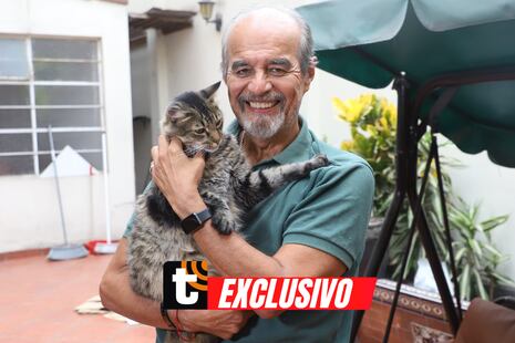 Mauricio Mulder: “Dina no tiene ni idea de lo que es ser presidenta”