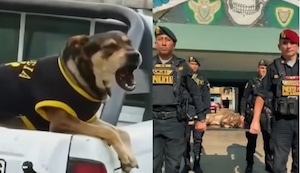 Policía de Trujillo rinde emotiva despedida a perro ‘Vaguito’: “Algunos ángeles tienen cuatro patas”