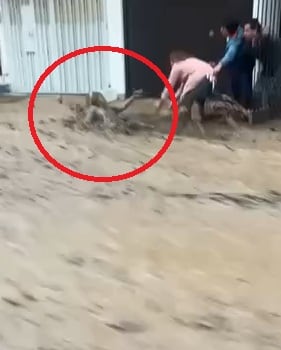 Mujer fue rescatada por vecinos. (Redes sociales)