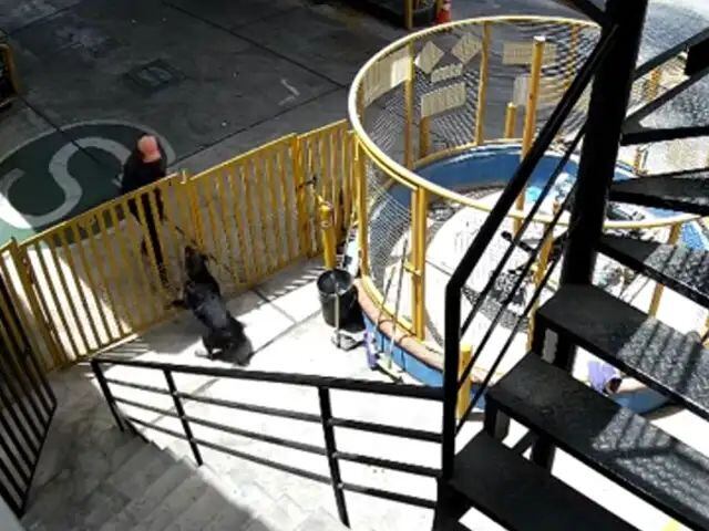 Ladrón se puso nervioso, intentó dispararle y falló.