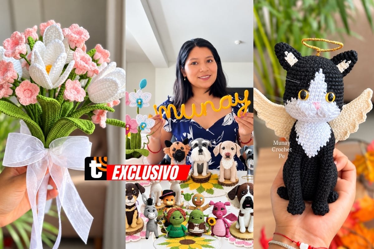 Dejó su trabajo para dedicarse al crochet y terminó creando flores, mascotas y miles de amigurumis