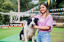 ¡Travesuras peludas que enamoran! Estos son los engreídos Trome de la semana