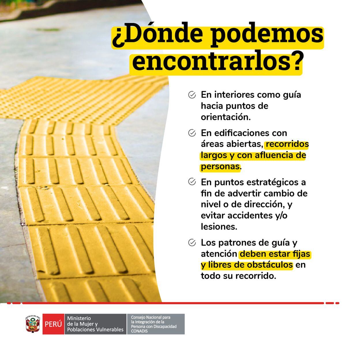 Entérate sobre la importancia de la baldosas pedotáctiles (Foto: Conadis)