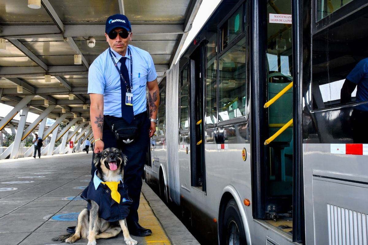 Luce su camisa, su corbata y su chaleco con un buen trabajador. Foto: ATU.