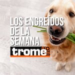Ellos son los reyes de casa: conoce a los engreídos de la semana