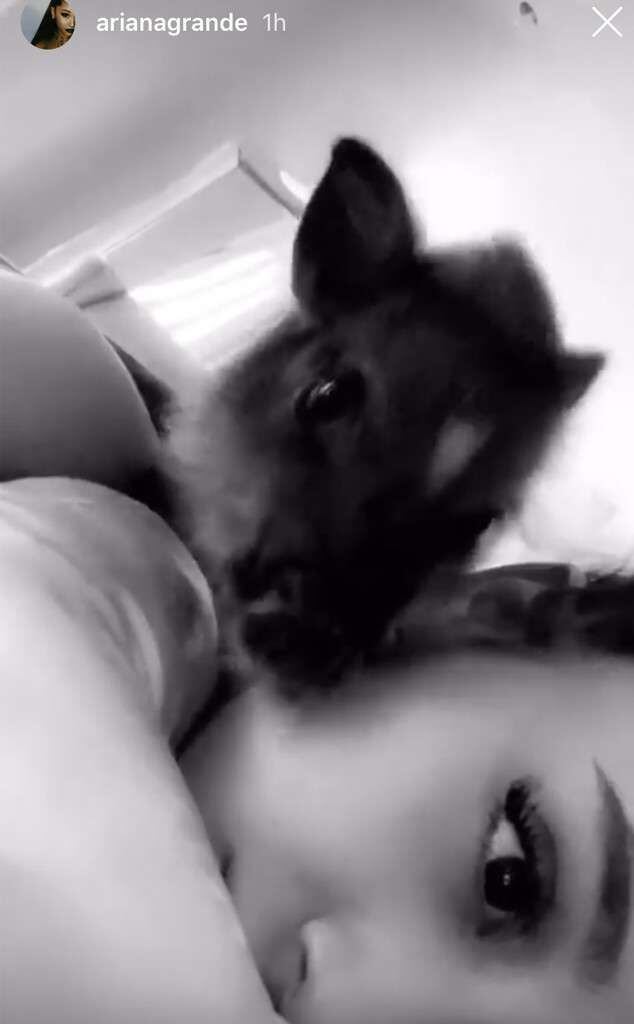 Así despertó Ariana Grande tras su fiesta con mariachis. (Foto: Instagram)