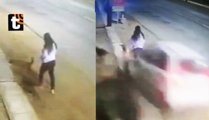 ¡Trágico final! Madre de familia y su perrito mueren arrollados por una camioneta que iba a excesiva velocidad