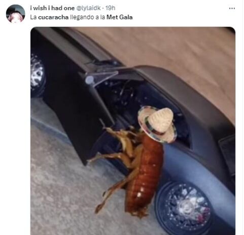 Memes sobre la cucaracha en el Met Gala 2023. (Foto: @lylaidk).