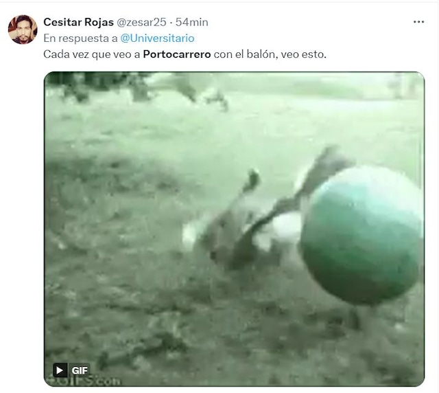 TROME | Memes de la eliminación de la Universitario ante Botafogo (Foto: Twitter)