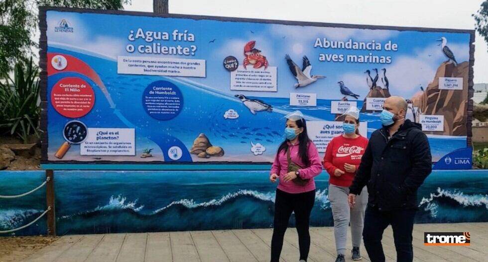 El Parque de las Leyendas presenta exhibición subacuática de pingüinos de Humboldt, en su Centro de Interpretación de Aves Marinas. (Municipalidad de Lima)