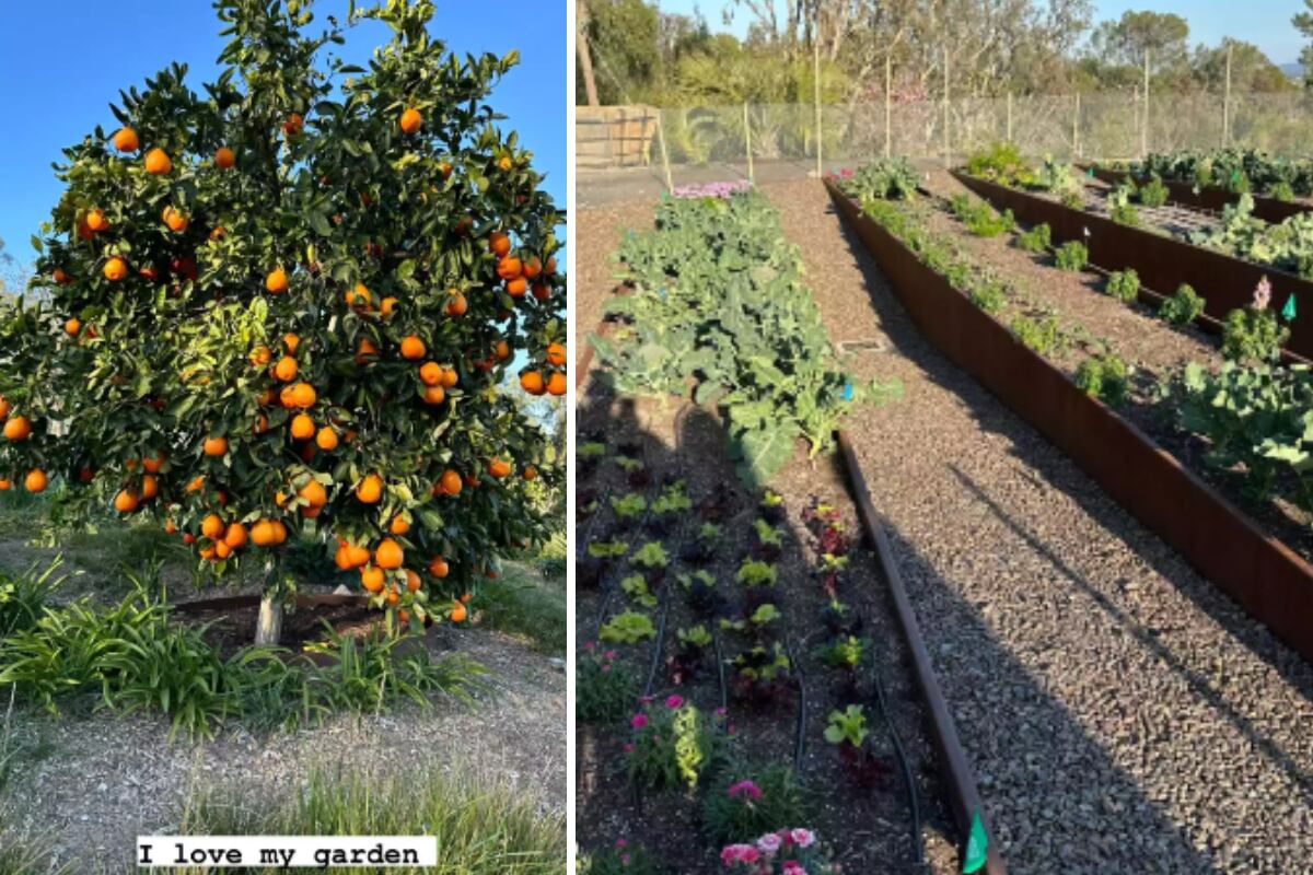 "Amo mi jardín", escribió sobre uno de sus estados la socialité. (Foto: @kimkardashian).