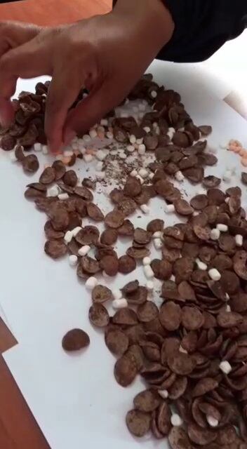 Un hombre que pretendía hacer ingresar 170 pastillas de somníferos (pepas) dentro de una bolsa de cereales (hojuelas de maíz) al penal Anexo de Mujeres de Chorrillos.