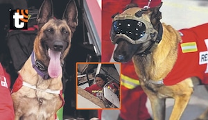 Perrita Kayra salva a mujer atrapada en edificio: can de los bomberos peruanos fue vital para el exitoso rescate