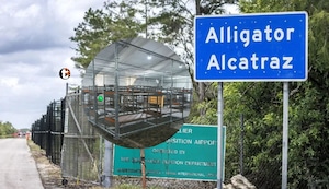 ¡Un infierno en el pantano! Así es Alligator Alcatraz, el centro de detención de migrantes más duro de Florida