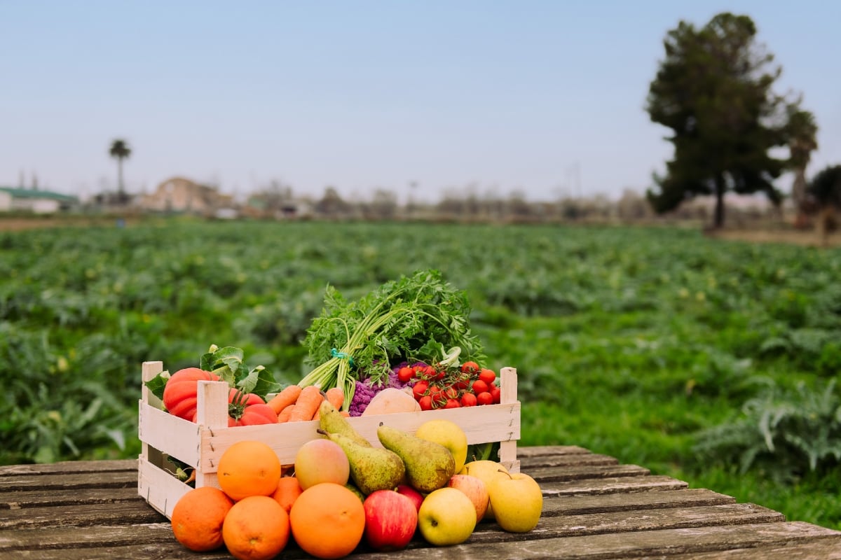 Muchos cultivos de frutas y verduras dependen de las abejas. Foto: Istock.