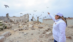 Piqueítos de El Búho